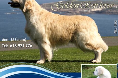 Foto Bel Torre Hércules. Hércules da Orixeira