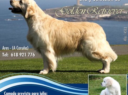 Foto Bel Torre Hércules. Hércules da Orixeira