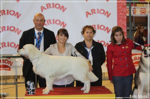 Calendario de Exposiciones. Alba en Coruña