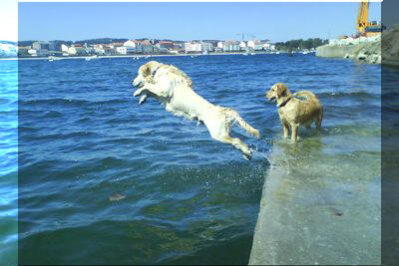 Kiss en el muelle de ares