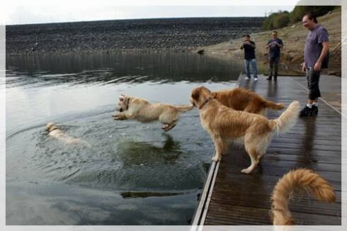 Quedada embalse de portodemouros
