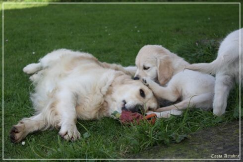 Kiss y los pequeños