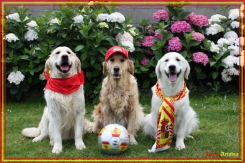 Mundial de futbol. Kiss, Blondy y Rachel.