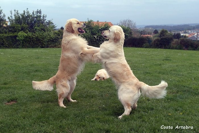 Leo y Moon con 22 meses