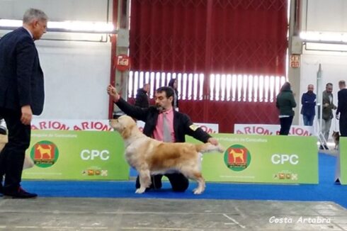 Dance en Oporto 2020