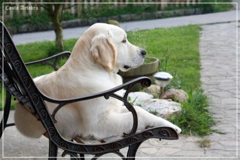 Bris tomando el fresco