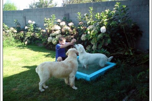 Ruben con Kiss y Rachel