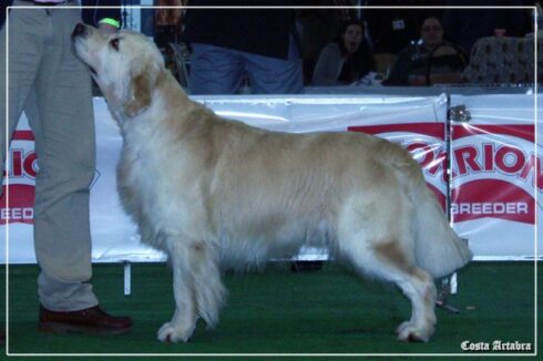 Bel en Vigo Hércules da Orixeira