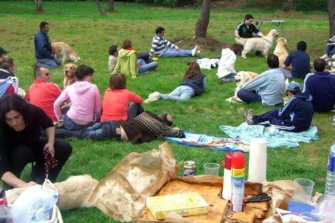Quedada de Golden en Portodemouros Galicia.