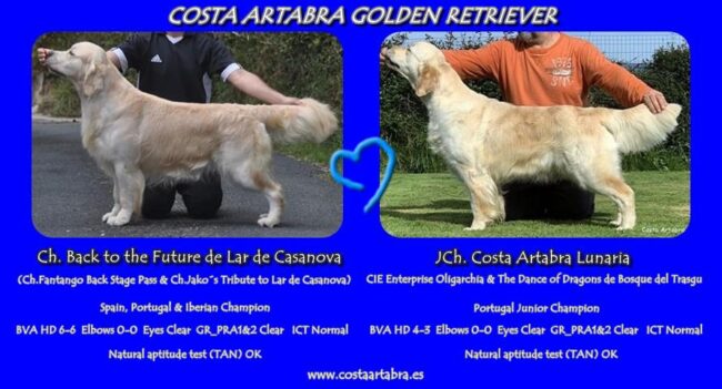 Camada Moon y Marty