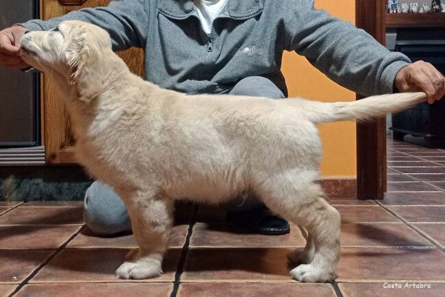 Ruly 11 semanas
