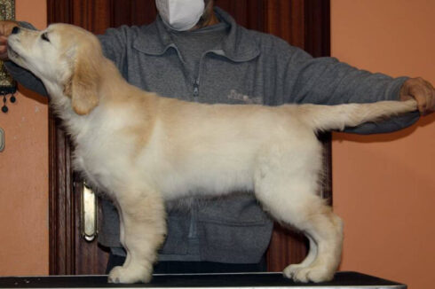 Ama Guadalupekoa. 15 semanas.