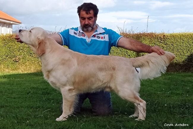 Costa Artabra Ruly. 12 meses