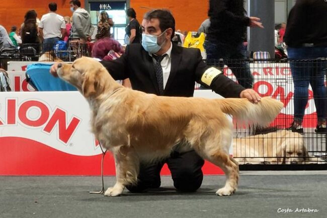 Leo Campeón de España