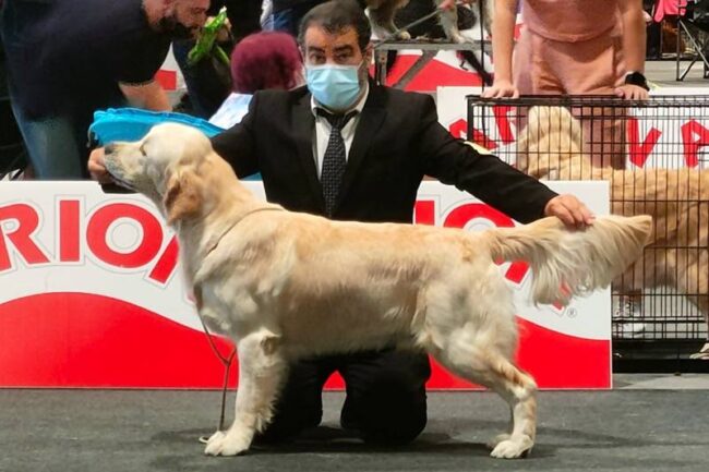 Ruly . Campeón Joven de España