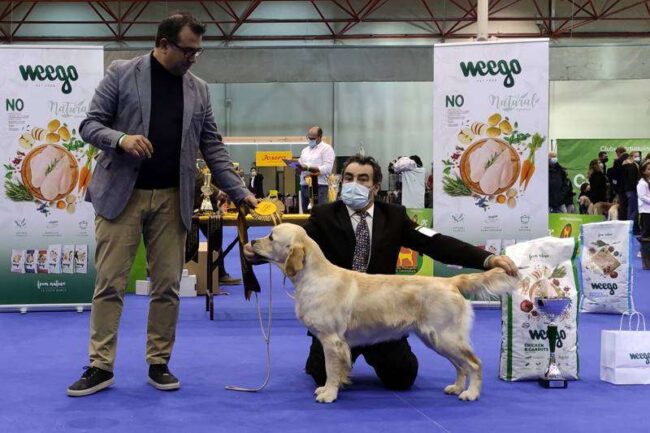 Guia Campeona de Portugal Joven
