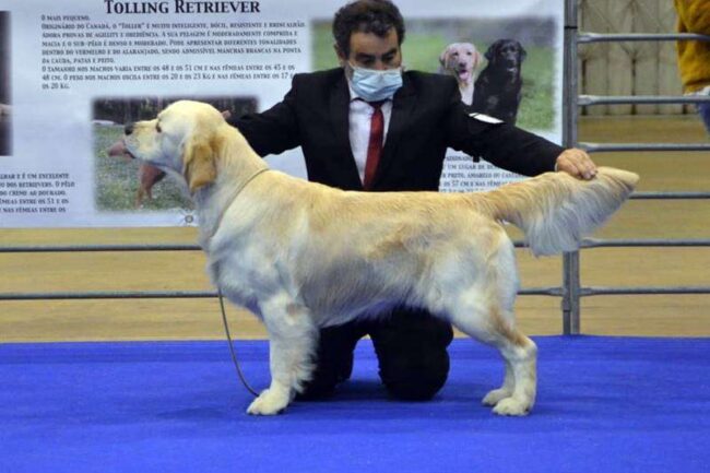Ruly Campeón Joven de Portugal