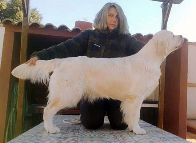Tulaytula de Aixa Galiana. 12 meses