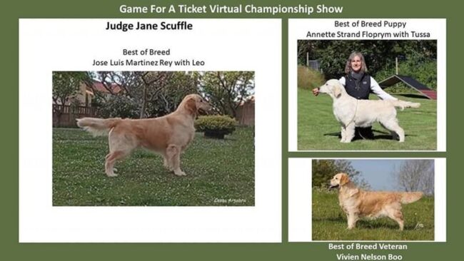 LEO GAME FOR A TICHKET VIRTUAL CHAMPIONSHIP SHOW. web