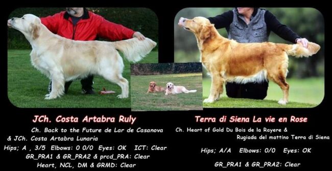 Ruly y Tarifa