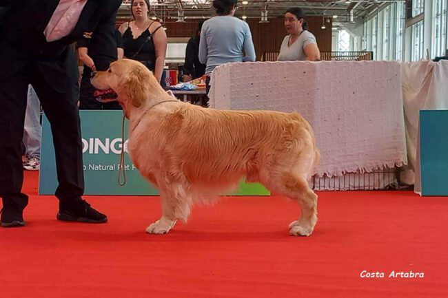 LEO gran campeon de portugal