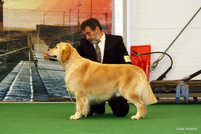 leo bos EN GIBRALTAR