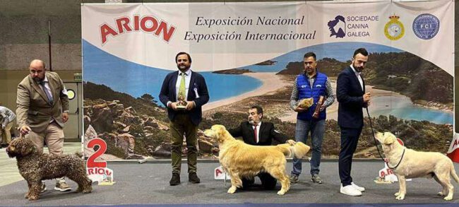 Leo BOG en Lugo 2024