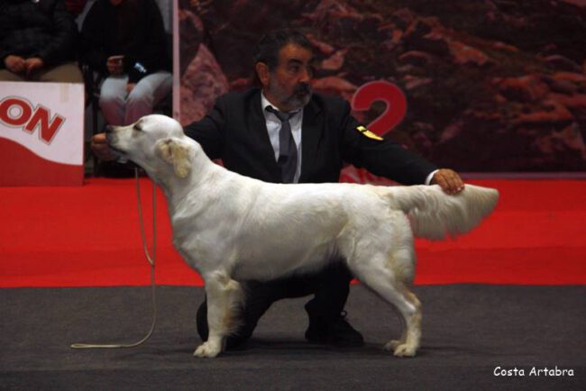 INDIANA1WEB