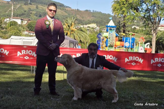 Leo web